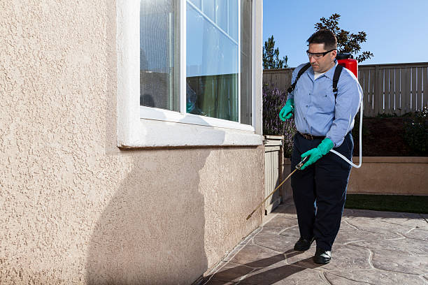 Reliable Eagar, AZ Pest Control Solutions